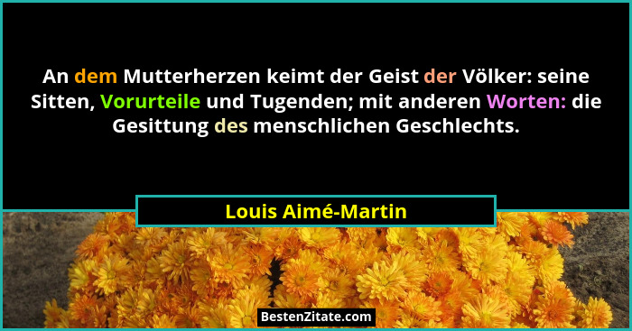 An dem Mutterherzen keimt der Geist der Völker: seine Sitten, Vorurteile und Tugenden; mit anderen Worten: die Gesittung des mensc... - Louis Aimé-Martin