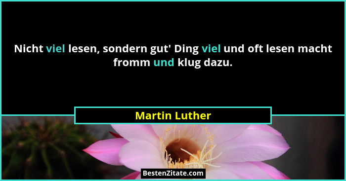 Nicht viel lesen, sondern gut' Ding viel und oft lesen macht fromm und klug dazu.... - Martin Luther