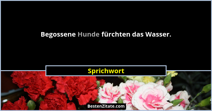 Begossene Hunde fürchten das Wasser.... - Sprichwort