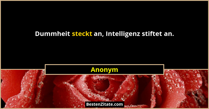 Dummheit steckt an, Intelligenz stiftet an.... - Anonym