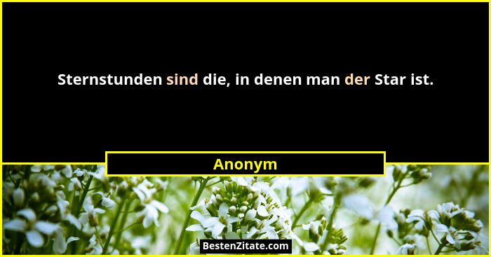Sternstunden sind die, in denen man der Star ist.... - Anonym