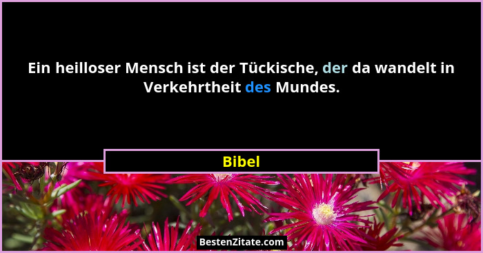 Ein heilloser Mensch ist der Tückische, der da wandelt in Verkehrtheit des Mundes.... - Bibel
