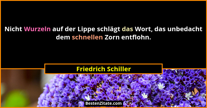 Nicht Wurzeln auf der Lippe schlägt das Wort, das unbedacht dem schnellen Zorn entflohn.... - Friedrich Schiller