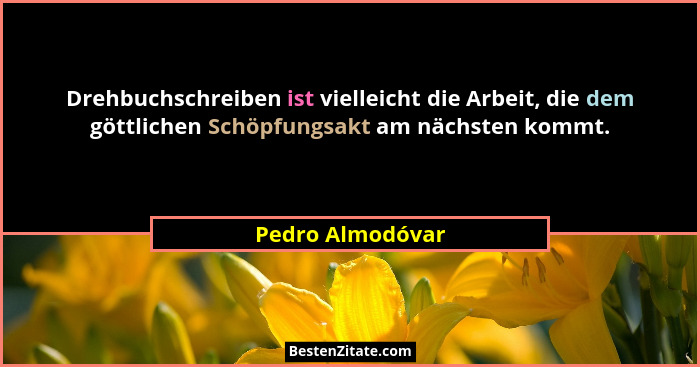 Drehbuchschreiben ist vielleicht die Arbeit, die dem göttlichen Schöpfungsakt am nächsten kommt.... - Pedro Almodóvar