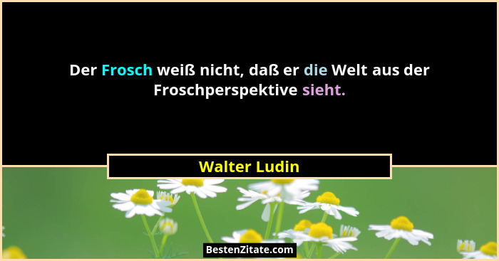 Der Frosch weiß nicht, daß er die Welt aus der Froschperspektive sieht.... - Walter Ludin