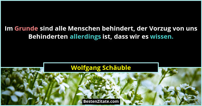 Im Grunde sind alle Menschen behindert, der Vorzug von uns Behinderten allerdings ist, dass wir es wissen.... - Wolfgang Schäuble