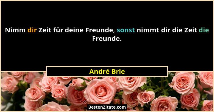 Nimm dir Zeit für deine Freunde, sonst nimmt dir die Zeit die Freunde.... - André Brie