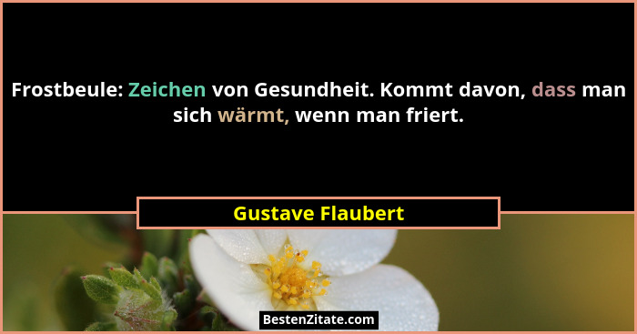 Frostbeule: Zeichen von Gesundheit. Kommt davon, dass man sich wärmt, wenn man friert.... - Gustave Flaubert