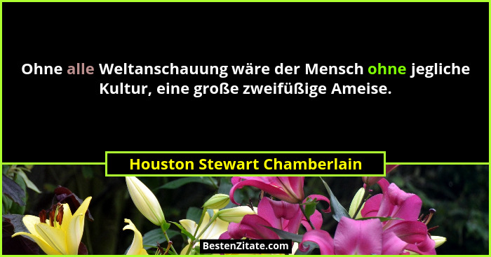 Ohne alle Weltanschauung wäre der Mensch ohne jegliche Kultur, eine große zweifüßige Ameise.... - Houston Stewart Chamberlain