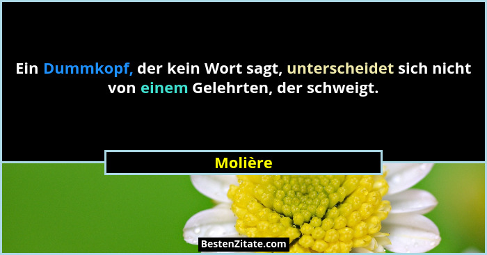 Ein Dummkopf, der kein Wort sagt, unterscheidet sich nicht von einem Gelehrten, der schweigt.... - Molière