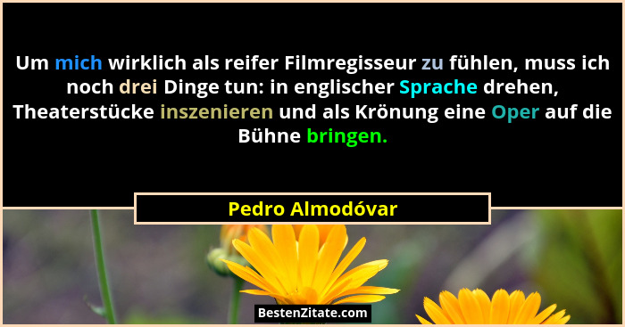 Um mich wirklich als reifer Filmregisseur zu fühlen, muss ich noch drei Dinge tun: in englischer Sprache drehen, Theaterstücke insze... - Pedro Almodóvar