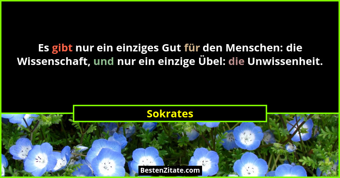 Es gibt nur ein einziges Gut für den Menschen: die Wissenschaft, und nur ein einzige Übel: die Unwissenheit.... - Sokrates