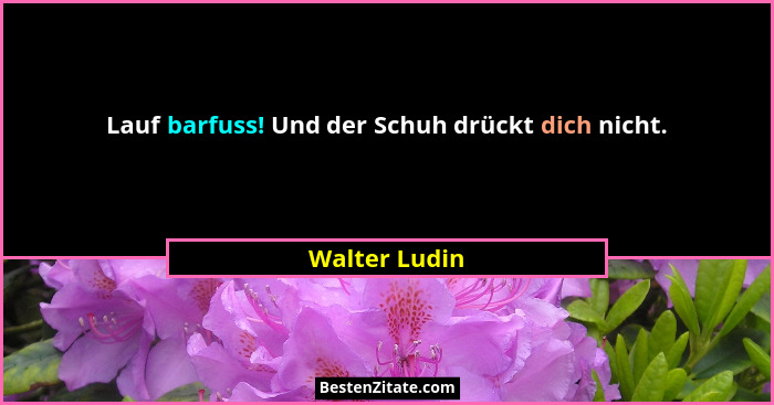 Lauf barfuss! Und der Schuh drückt dich nicht.... - Walter Ludin