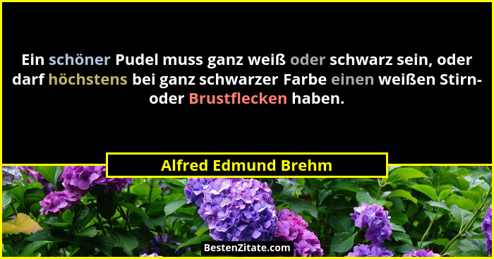 Ein schöner Pudel muss ganz weiß oder schwarz sein, oder darf höchstens bei ganz schwarzer Farbe einen weißen Stirn- oder Brustf... - Alfred Edmund Brehm