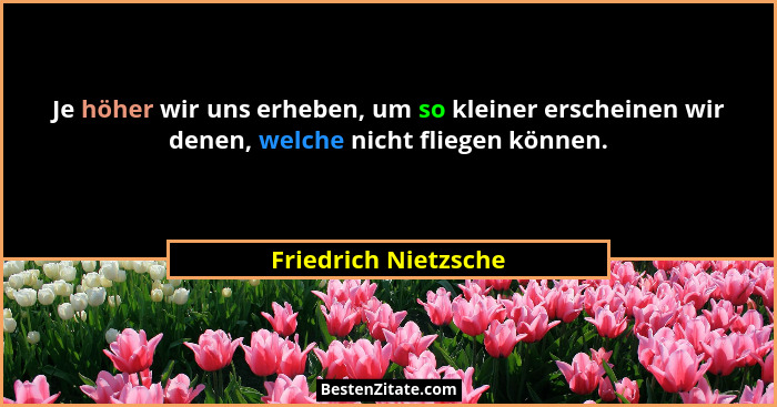Je höher wir uns erheben, um so kleiner erscheinen wir denen, welche nicht fliegen können.... - Friedrich Nietzsche