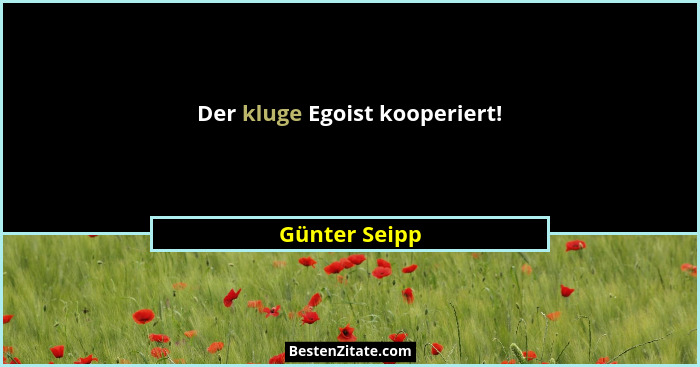 Der kluge Egoist kooperiert!... - Günter Seipp