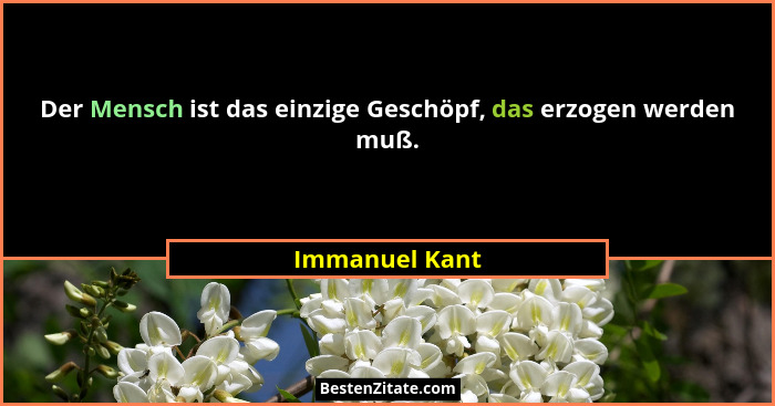 Der Mensch ist das einzige Geschöpf, das erzogen werden muß.... - Immanuel Kant