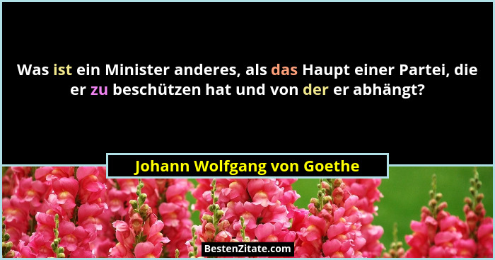 Was ist ein Minister anderes, als das Haupt einer Partei, die er zu beschützen hat und von der er abhängt?... - Johann Wolfgang von Goethe