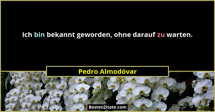 Ich bin bekannt geworden, ohne darauf zu warten.... - Pedro Almodóvar