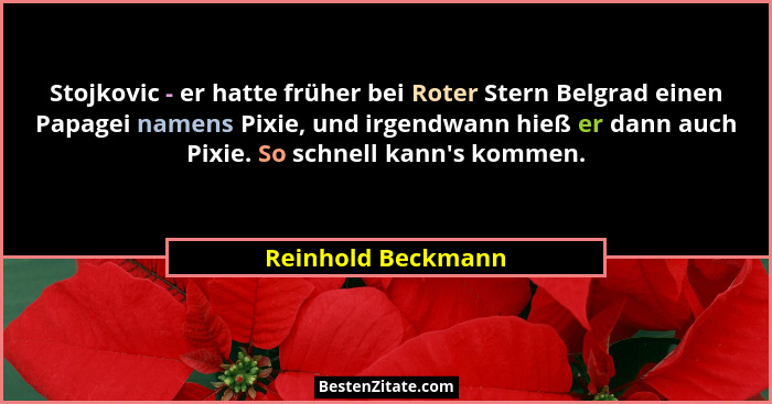 Stojkovic - er hatte früher bei Roter Stern Belgrad einen Papagei namens Pixie, und irgendwann hieß er dann auch Pixie. So schnell... - Reinhold Beckmann