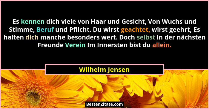 Es kennen dich viele von Haar und Gesicht, Von Wuchs und Stimme, Beruf und Pflicht. Du wirst geachtet, wirst geehrt, Es halten dich m... - Wilhelm Jensen