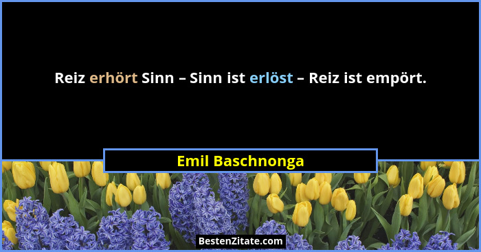 Reiz erhört Sinn – Sinn ist erlöst – Reiz ist empört.... - Emil Baschnonga