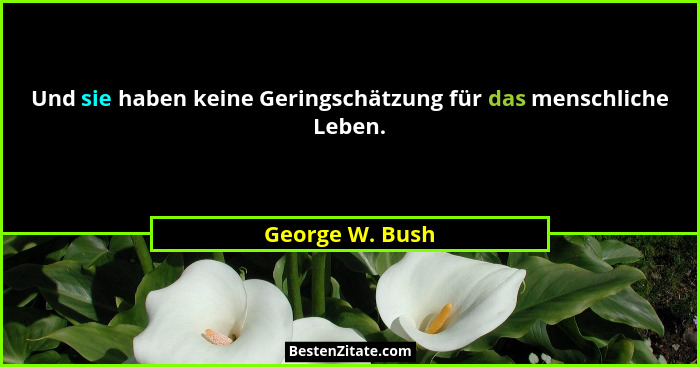 Und sie haben keine Geringschätzung für das menschliche Leben.... - George W. Bush