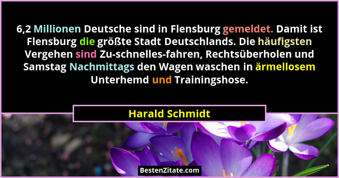 6,2 Millionen Deutsche sind in Flensburg gemeldet. Damit ist Flensburg die größte Stadt Deutschlands. Die häufigsten Vergehen sind Zu... - Harald Schmidt