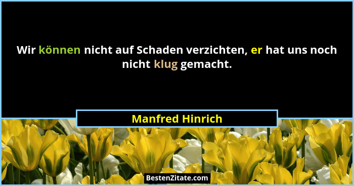 Wir können nicht auf Schaden verzichten, er hat uns noch nicht klug gemacht.... - Manfred Hinrich