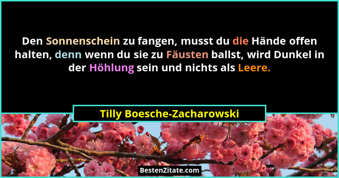 Den Sonnenschein zu fangen, musst du die Hände offen halten, denn wenn du sie zu Fäusten ballst, wird Dunkel in der Höhlun... - Tilly Boesche-Zacharowski