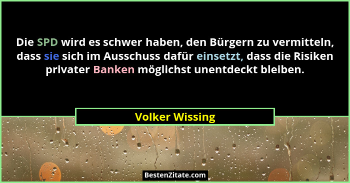 Die SPD wird es schwer haben, den Bürgern zu vermitteln, dass sie sich im Ausschuss dafür einsetzt, dass die Risiken privater Banken... - Volker Wissing