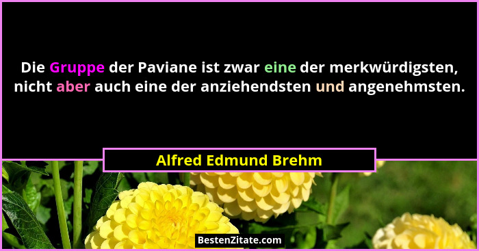Die Gruppe der Paviane ist zwar eine der merkwürdigsten, nicht aber auch eine der anziehendsten und angenehmsten.... - Alfred Edmund Brehm
