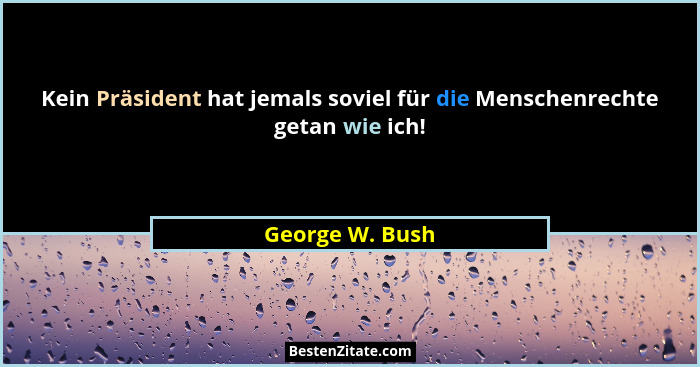 Kein Präsident hat jemals soviel für die Menschenrechte getan wie ich!... - George W. Bush
