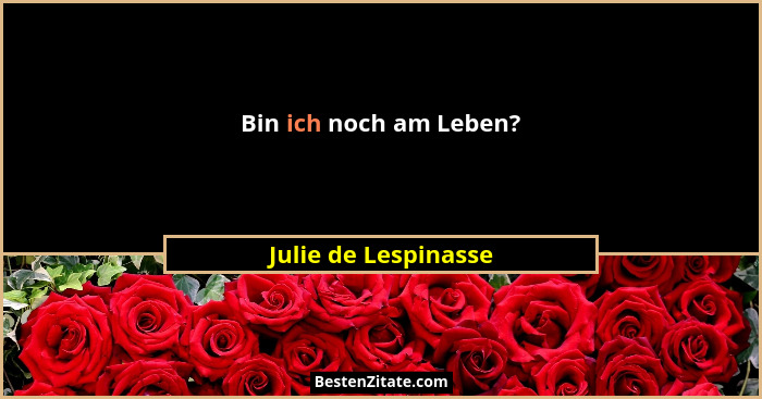 Bin ich noch am Leben?... - Julie de Lespinasse
