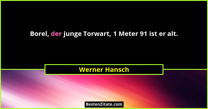 Borel, der junge Torwart, 1 Meter 91 ist er alt.... - Werner Hansch