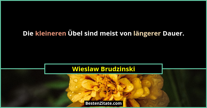 Die kleineren Übel sind meist von längerer Dauer.... - Wieslaw Brudzinski