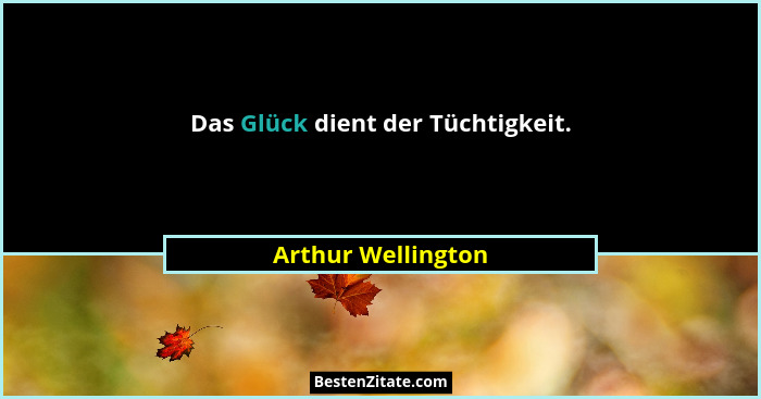 Das Glück dient der Tüchtigkeit.... - Arthur Wellington
