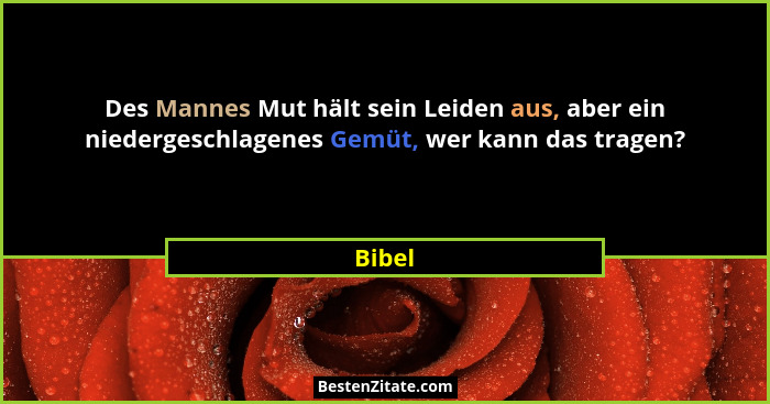 Des Mannes Mut hält sein Leiden aus, aber ein niedergeschlagenes Gemüt, wer kann das tragen?... - Bibel