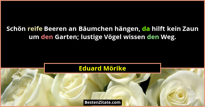 Schön reife Beeren an Bäumchen hängen, da hilft kein Zaun um den Garten; lustige Vögel wissen den Weg.... - Eduard Mörike