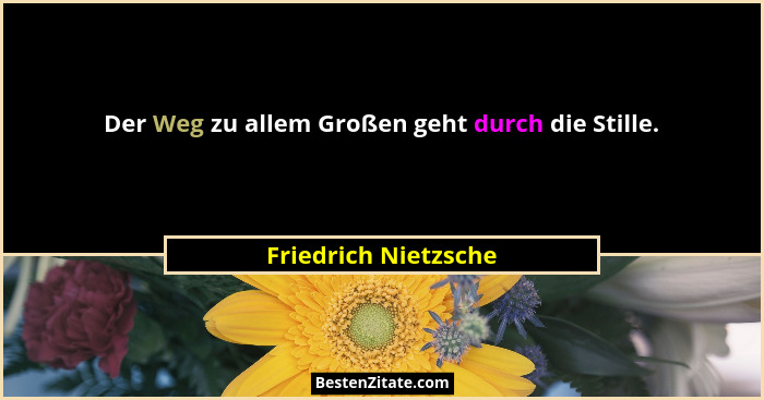 Der Weg zu allem Großen geht durch die Stille.... - Friedrich Nietzsche