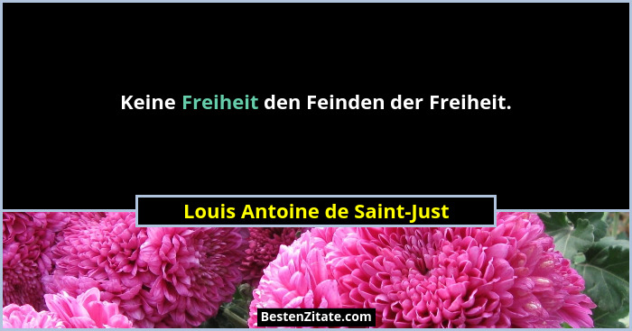Keine Freiheit den Feinden der Freiheit.... - Louis Antoine de Saint-Just