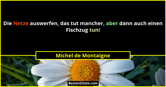 Die Netze auswerfen, das tut mancher, aber dann auch einen Fischzug tun!... - Michel de Montaigne