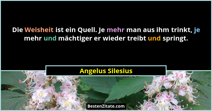 Die Weisheit ist ein Quell. Je mehr man aus ihm trinkt, je mehr und mächtiger er wieder treibt und springt.... - Angelus Silesius