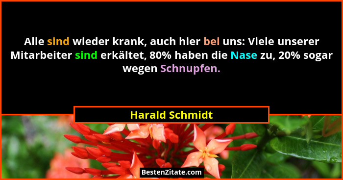 Alle sind wieder krank, auch hier bei uns: Viele unserer Mitarbeiter sind erkältet, 80% haben die Nase zu, 20% sogar wegen Schnupfen.... - Harald Schmidt