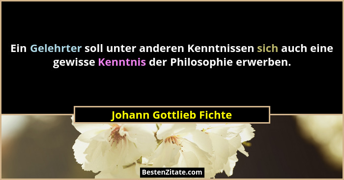 Ein Gelehrter soll unter anderen Kenntnissen sich auch eine gewisse Kenntnis der Philosophie erwerben.... - Johann Gottlieb Fichte