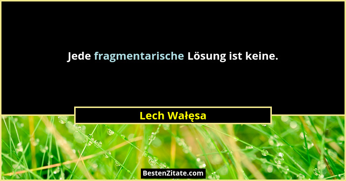 Jede fragmentarische Lösung ist keine.... - Lech Wałęsa