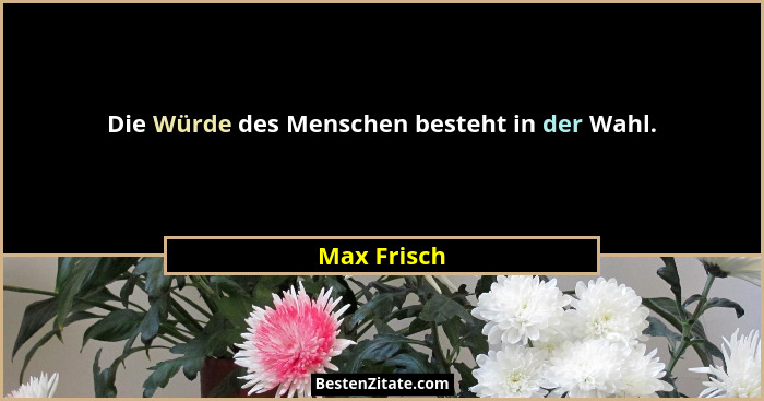 Die Würde des Menschen besteht in der Wahl.... - Max Frisch