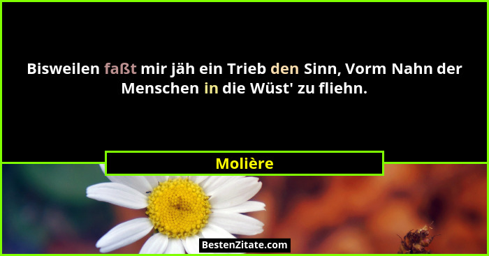 Bisweilen faßt mir jäh ein Trieb den Sinn, Vorm Nahn der Menschen in die Wüst' zu fliehn.... - Molière
