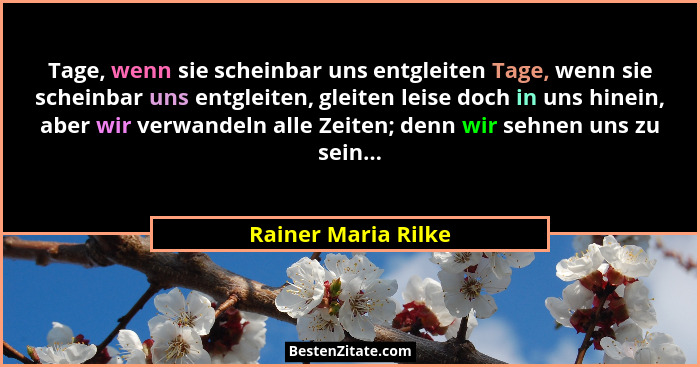 Tage, wenn sie scheinbar uns entgleiten Tage, wenn sie scheinbar uns entgleiten, gleiten leise doch in uns hinein, aber wir verwa... - Rainer Maria Rilke