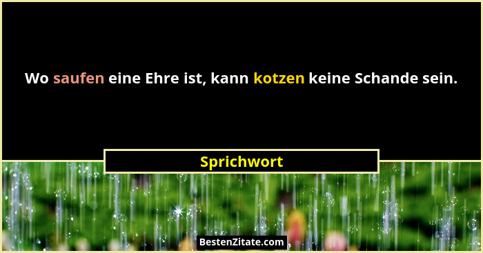 Wo saufen eine Ehre ist, kann kotzen keine Schande sein.... - Sprichwort